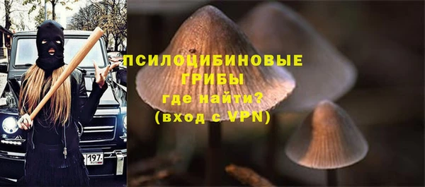 соль курить ск Алексеевка