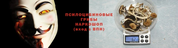 стаф Каменногорск