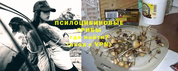 скорость Алзамай