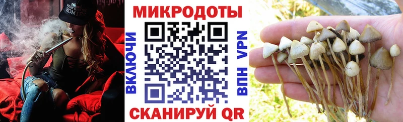 Галлюциногенные грибы мухоморы  купить наркотики цена  Еманжелинск 